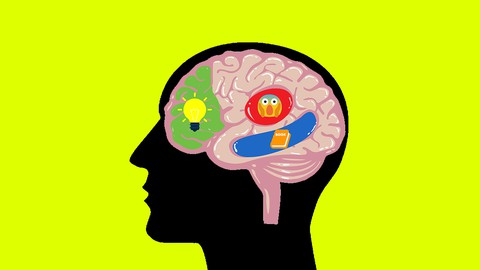 Brain-Based Emotional Intelligence for Parents & Teachers