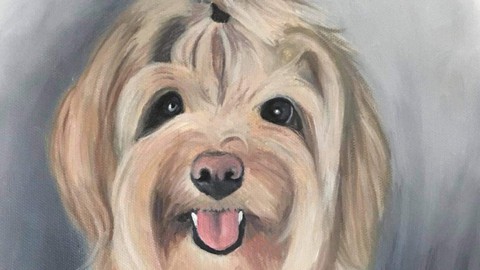 Painting a Chipoo Dog