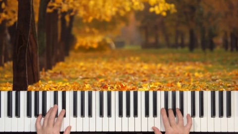 ピアノ初心者のための『Autumn Leaves 枯葉』( for piano beginners)