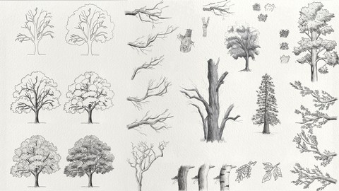 Complete Trees Drawing Course