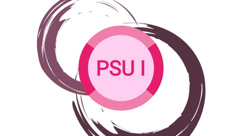 PSU I : Professional Scrum with User Experience I Exam Prep