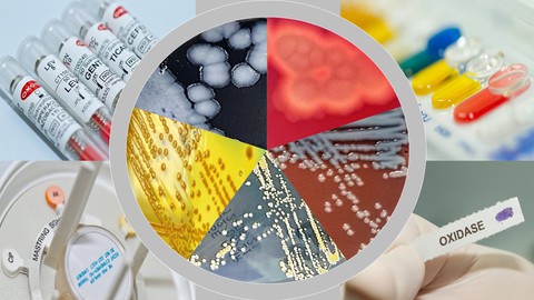 Comprehensive Medical Microbiology Course