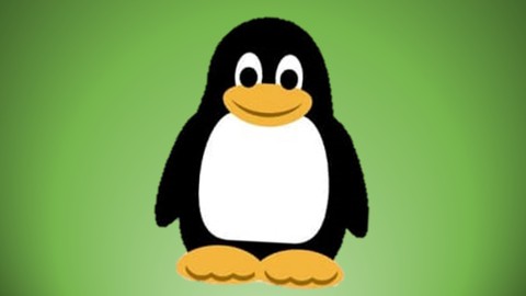 102-500 || LPIC-1 Linux Professional Certification Exam Q&A
