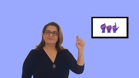 American Sign Language Conversation - Level 2