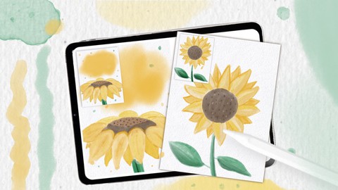 Watercolor on iPad in Procreate. Draw sunflower cards