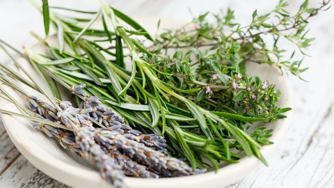 Kitchen Herbs And Their Medicinal Properties