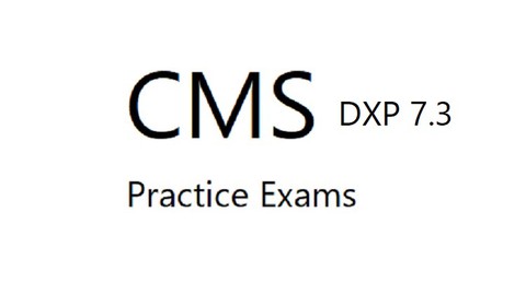 Liferay DXP 7.3 Back-End Developer Practice Exams