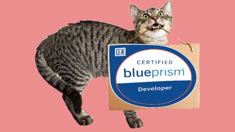 Blue Prism Developer Tests Certification 2021