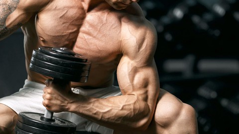 Complete Muscle Building work out For Beginners!