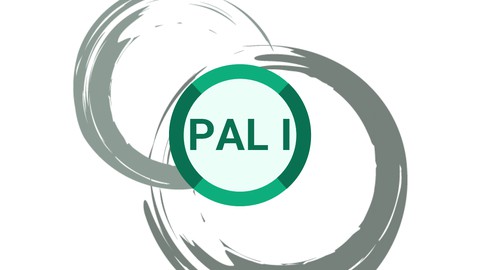 PAL I : Professional Agile Leadership Exam Prep