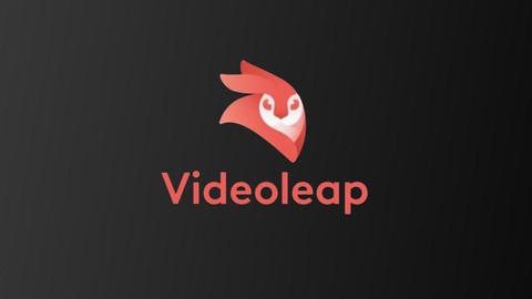 Videoleap 手機剪片丨迷你教程