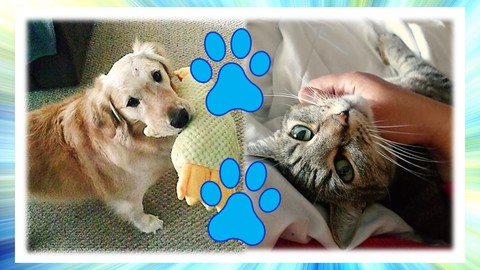 How to Write a "PAW"some House & Pet Sitter Profile