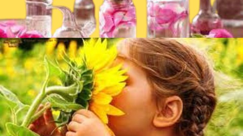 Bach Flower Remedies Accredited Certificate Course