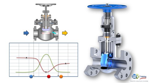 Sizing valves and control valves for the process industry