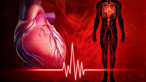 Certificate Course in Anatomy and Physiology of Heart