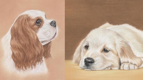 Colouring Dogs for Beginners | Just 8 Pencils!