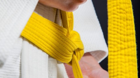 Lean Six Sigma Yellow Belt (Parte 2 de 2) Avalados por CSSC
