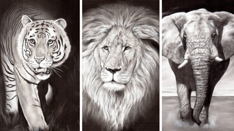 Draw Wild Animals in Black and White | 4 Pencils | Vol 1