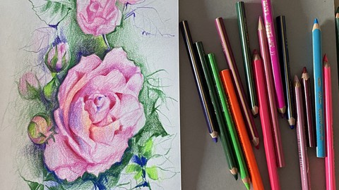 Живопись цветными карандашами. Цветочные композиции