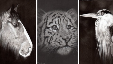 Draw Wild Animals in Black and White | 4 Pencils | Vol 2