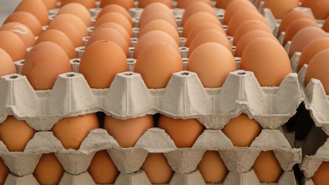 The Ultimate Guide to Successful Layers Chicken Farming