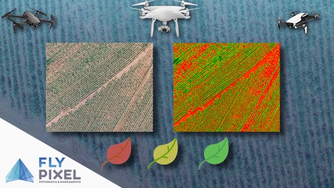 Índice de Saúde de Vegetação com Drones