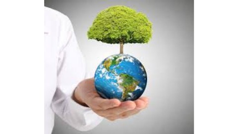 Environmental Management | About Environmental Science
