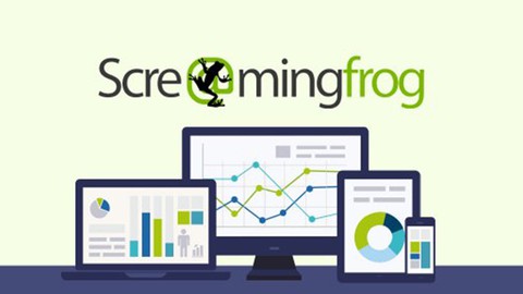 Auditez votre site avec Screaming Frog : le Guide Complet