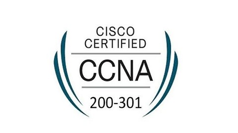 Cisco Certified Network Associate- 200-301- Practice Tests