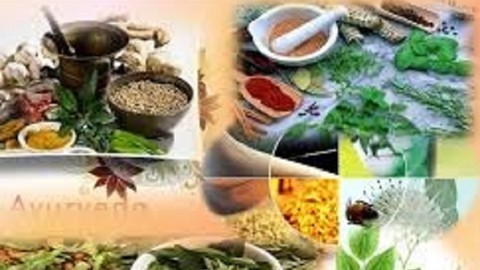 ROLE OF PHARMACOGNOSY IN TRADITIONAL SYSTEMS OF MEDICINES