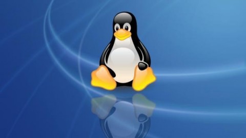 Linux Ağ ve Sistem Yöneticiliği Eğitimi 2