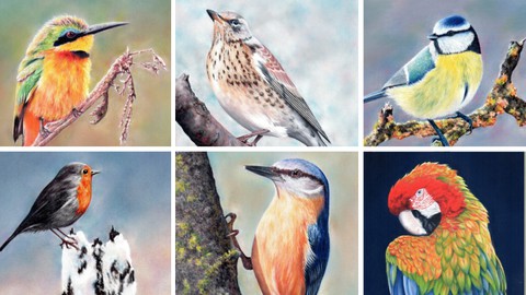 Ultimate Bird Coloring Course - Learn to Draw AMAZING Birds