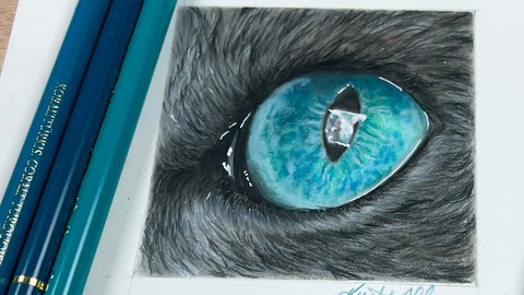How To Draw A Realistic Cat Eye In Colored Pencil