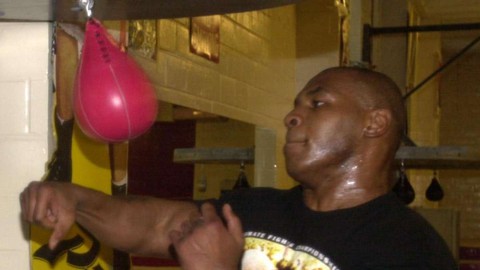 Speed bag training and losing fat