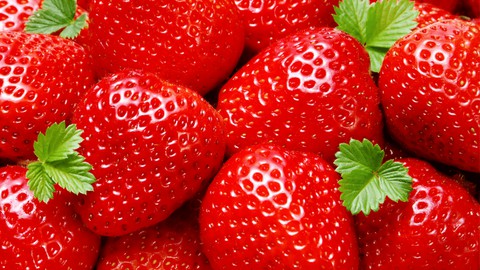 Your Comprehensive Guide to Strawberry Farming