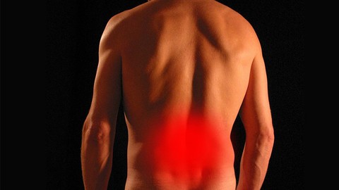 Back Pain Management & Treatment Specialist Course