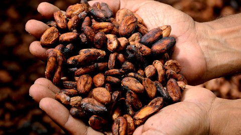 Cacao: How To 'Choclify' Your Life And Host A Cacao Ceremony