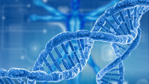 Genetics For Wannabes: The Videocourse
