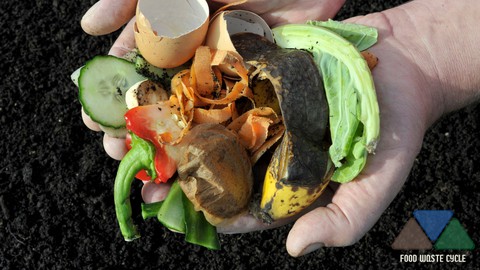 Compost from Food Waste and Brown leaves in 35 Days