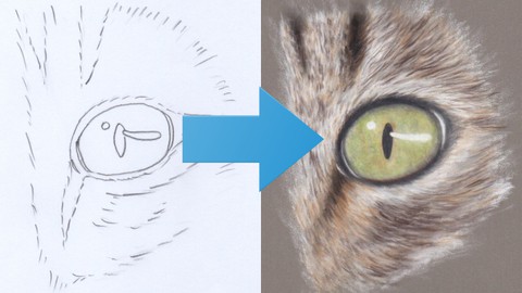How To Draw a Cat's Eye | Pastel Pencil Techniques