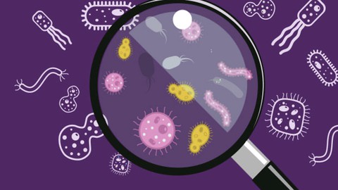 Introduction to Microbiology & Disease