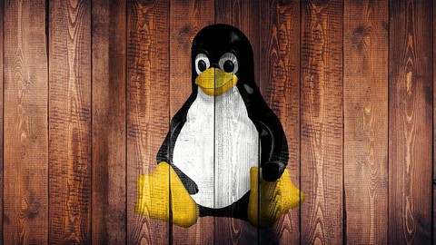 Fundamentos de Terminal y Linea de comandos en Linux