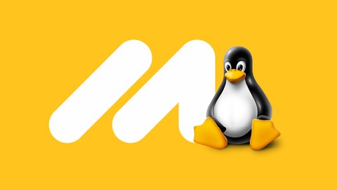 Ultimate Linux Guide with Interview Preparation 2024