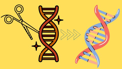 Practice Questions in Genome Editing/Gene Editing