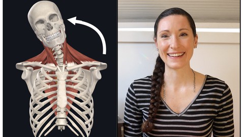 Applied Yoga Anatomy: 101 The Language of Anatomy & Movement