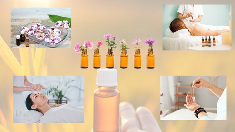 Enhance Your Reiki Practice With Bach Flower Remedies.