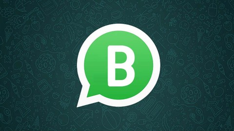 Fundamentos de Whatsapp Business y Redes sociales