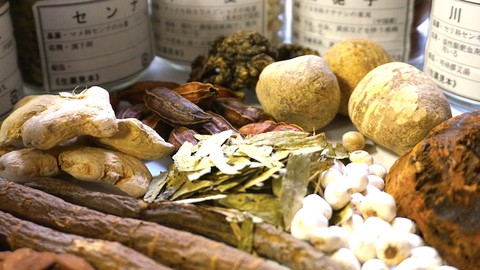 Basics of  Kampo medicine（traditional  Japanese medicine）