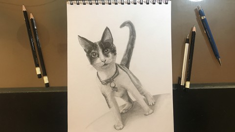 Curso de dibujo a lápiz de gatos y perros