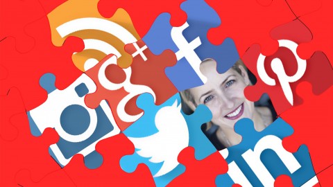 5 Step Social Media Campaign: Facebook etc Laurel Papworth